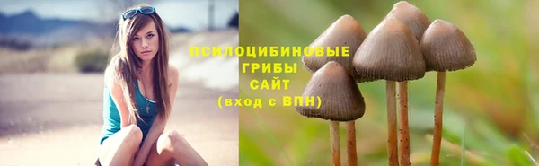 тгк Переславль-Залесский