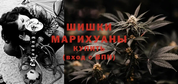 тгк Переславль-Залесский
