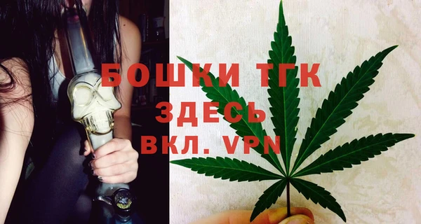тгк Переславль-Залесский