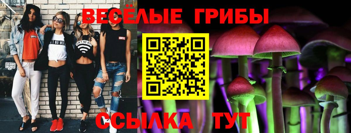 Галлюциногенные грибы мицелий Сунжа